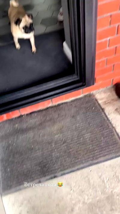 nyityam nyityam archive video