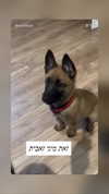 emily_new2 Altpins Profile Picture