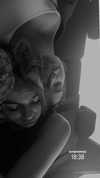 veroni22ka Altpins Profile Picture