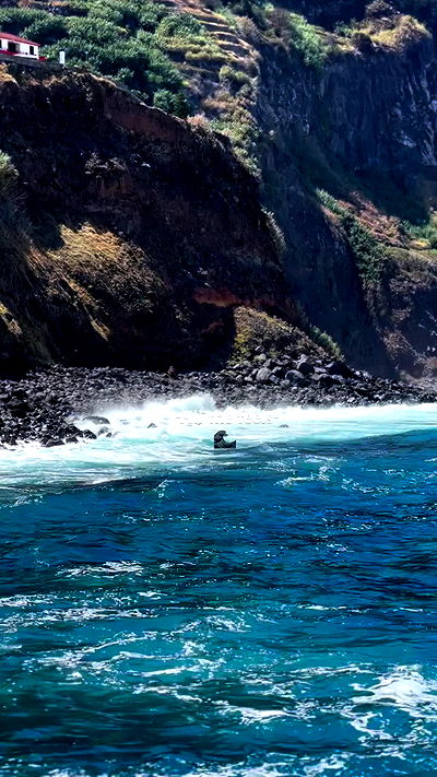 taylor.creeden taylor.creeden archive video