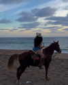 vanessa.rhd Altpins Profile Picture