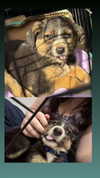 feelbetterinmysweater Altpins Profile Picture