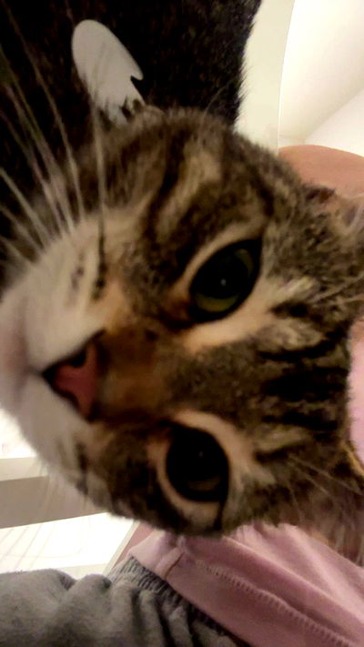 _parismlk _parismlk archive video