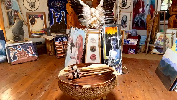 elia.shinar archive video preview