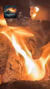 tirtza_cohen Altpins Profile Picture
