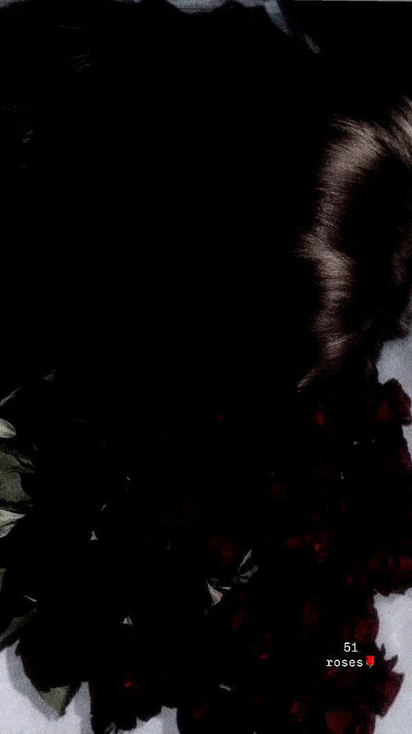 _allvi.pansk archive video preview