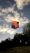 schnuckell Altpins Profile Picture