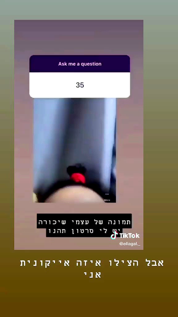 dante_yangpa archive video preview