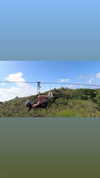 lousyfaerie Altpins Profile Picture