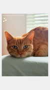 rachelchaleff Altpins Profile Picture