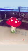 lolontlia Altpins Profile Picture