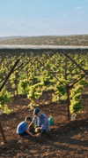 tali_grapes Altpins Profile Picture