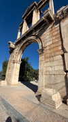 liad.arazi Altpins Profile Picture
