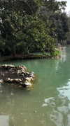 lotembar Altpins Profile Picture