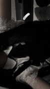 veildose Altpins Profile Picture