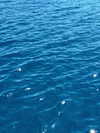kyliejenner Altpins Profile Picture