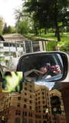 crocodile.notes Altpins Profile Picture