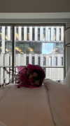 kaniiberry Altpins Profile Picture