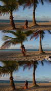 genesis.bravoo Altpins Profile Picture