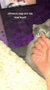 lera.genadenik Altpins Profile Picture