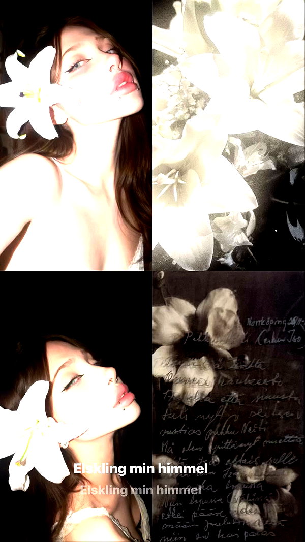 stea0diness archive video preview