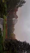forestowwwl Altpins Profile Picture