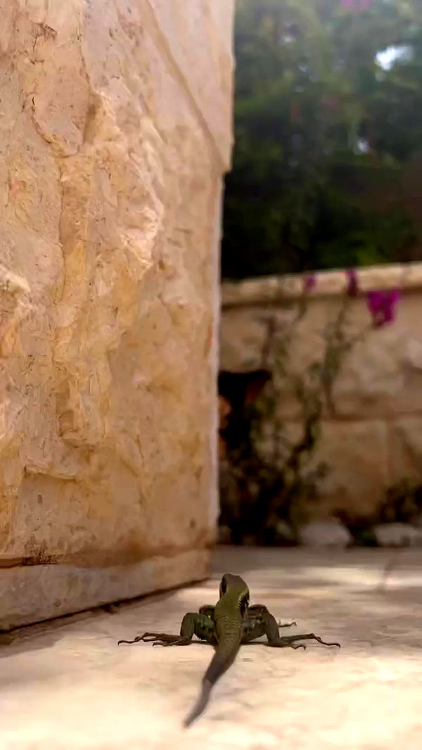 itsilanosh archive video preview