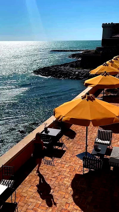 taylor.creeden taylor.creeden archive video