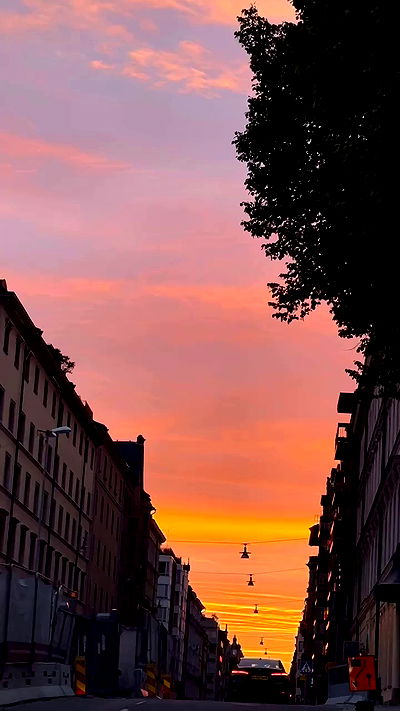 taylor.creeden taylor.creeden archive video