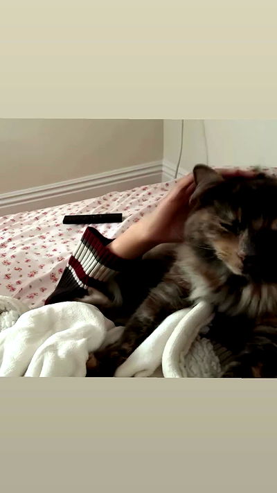 dracuina dracuina archive video