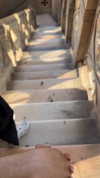 ruth_chavarri Altpins Profile Picture