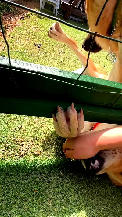 feelbetterinmysweater feelbetterinmysweater archive video