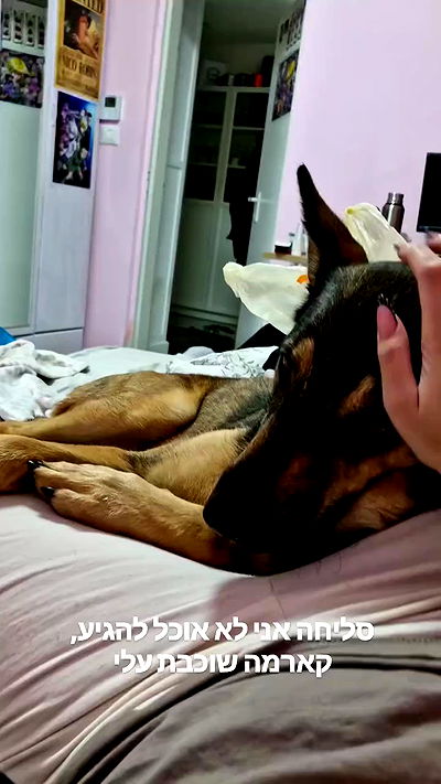 ida.trbl ida.trbl archive video