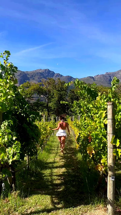 taylor.creeden taylor.creeden archive video