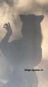 aldreann Altpins Profile Picture