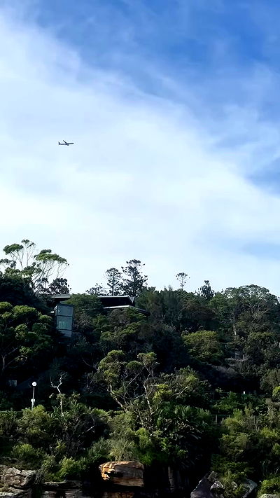 taylor.creeden taylor.creeden archive video