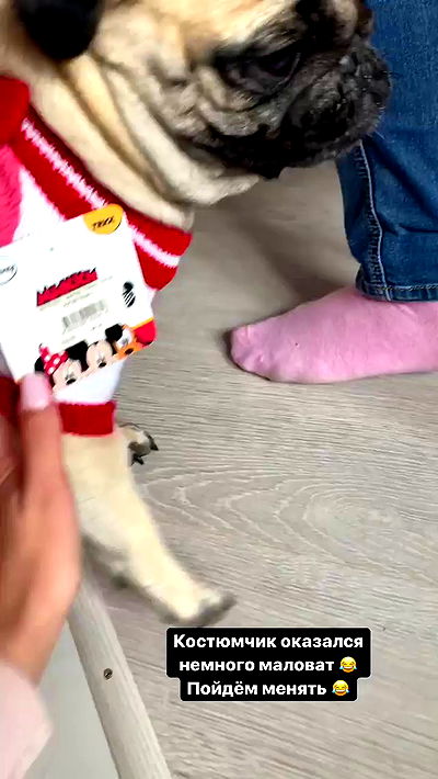 nyityam nyityam archive video