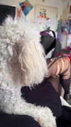 electrixjuggle Altpins Profile Picture