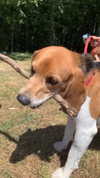elsgatti Altpins Profile Picture