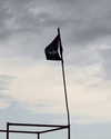 solzarubin_ Altpins Profile Picture