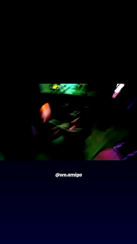 shayli_or archive video preview