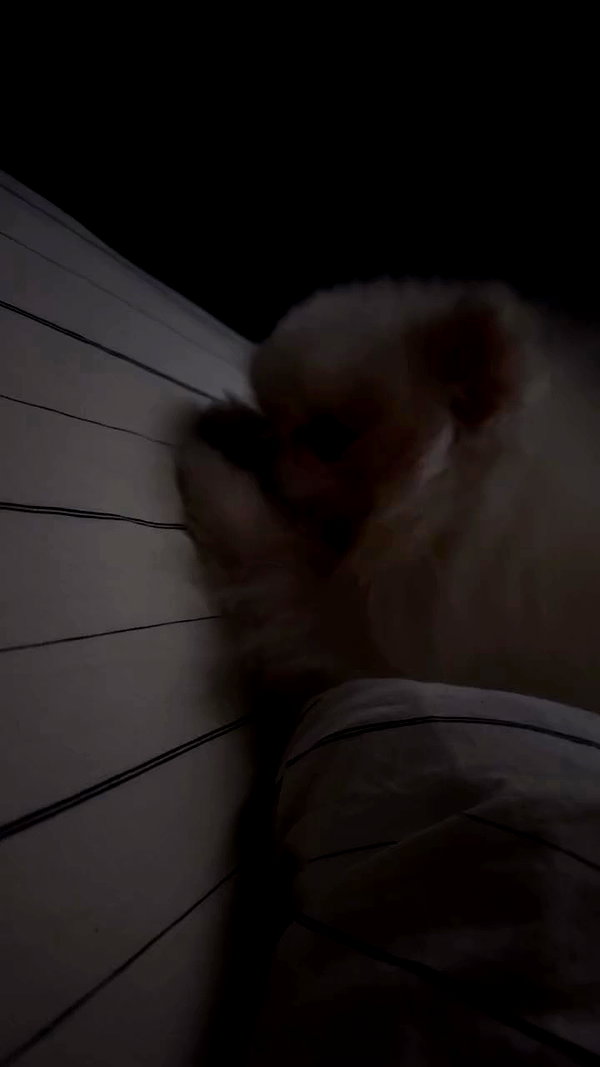 imshigh_ archive video preview