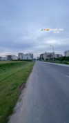 mishel_d_ Altpins Profile Picture