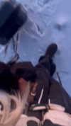 aseynat0r Altpins Profile Picture