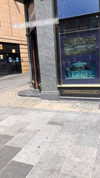 sonia_litvanchuk Altpins Profile Picture