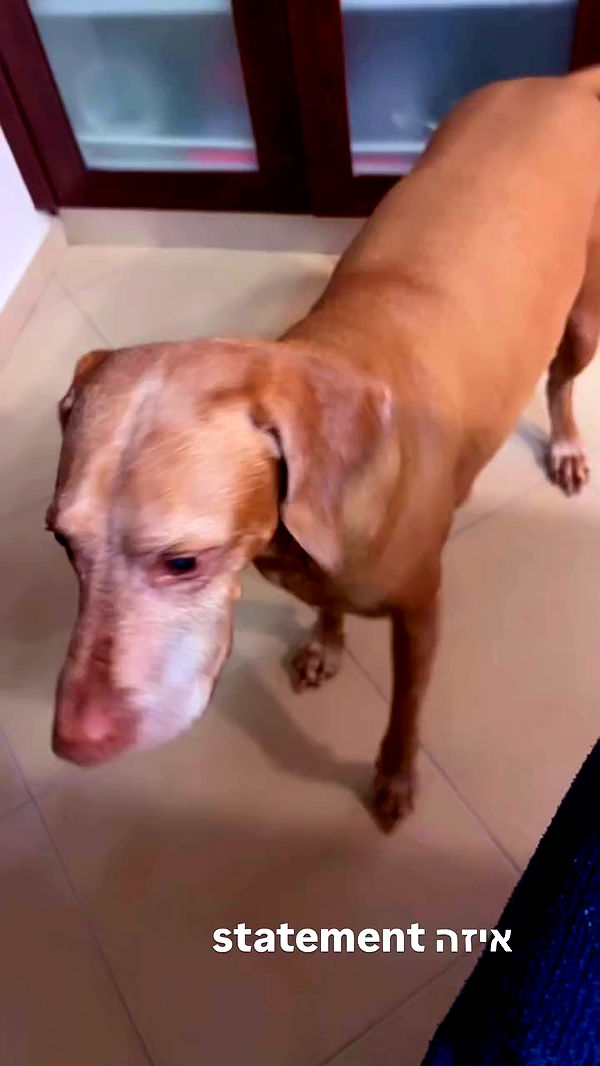 bbyerikss archive video preview