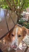 biton__adi Altpins Profile Picture