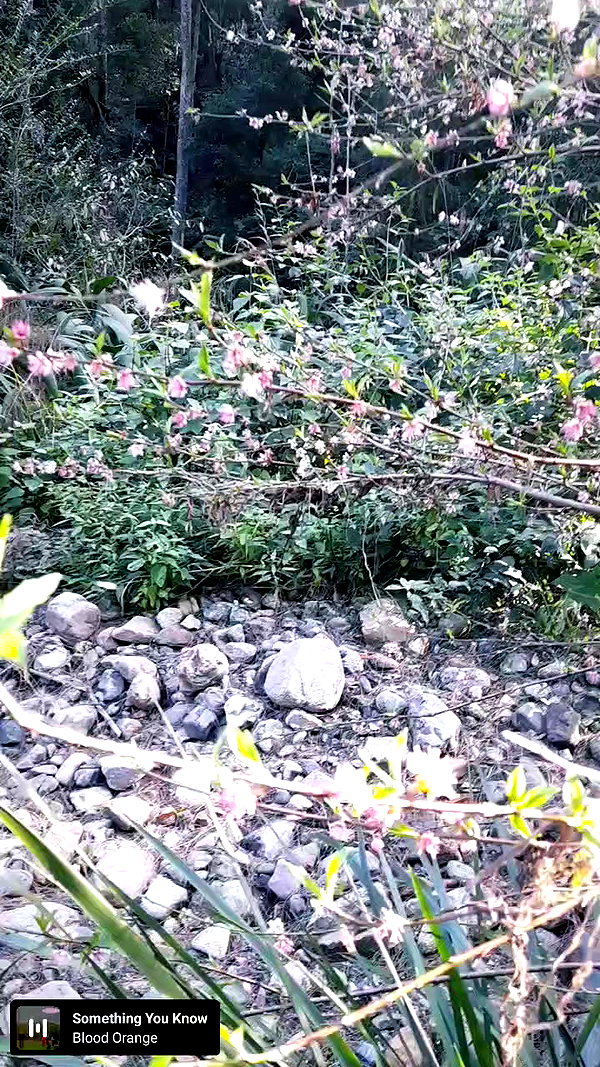 ayliehayward archive video preview