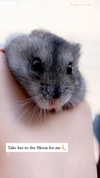 lilih Altpins Profile Picture