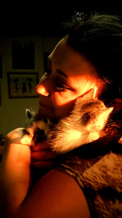 vvvierness vvvierness archive video